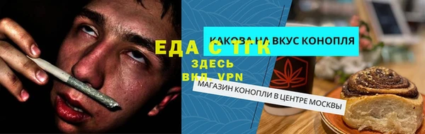прущие грибы Инта