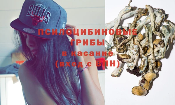 гашик Алексеевка