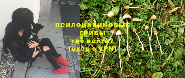 соль ск Алзамай