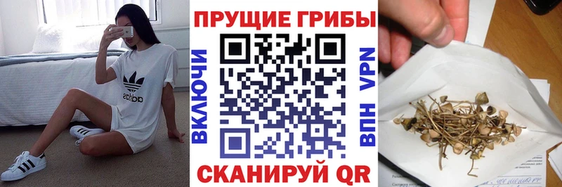 Псилоцибиновые грибы мухоморы  Купить где  Руза 